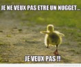 /album/galerie-photos/image-drole-poussin-nuget-jpg/